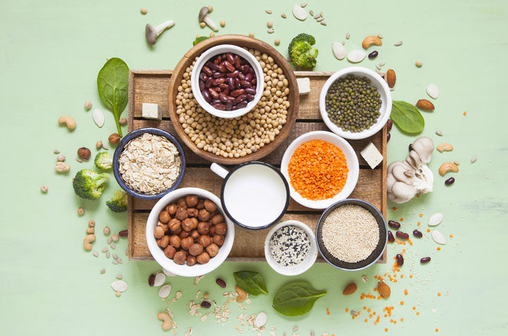 Types of Plant-Based Proteins: A Detailed Exploration